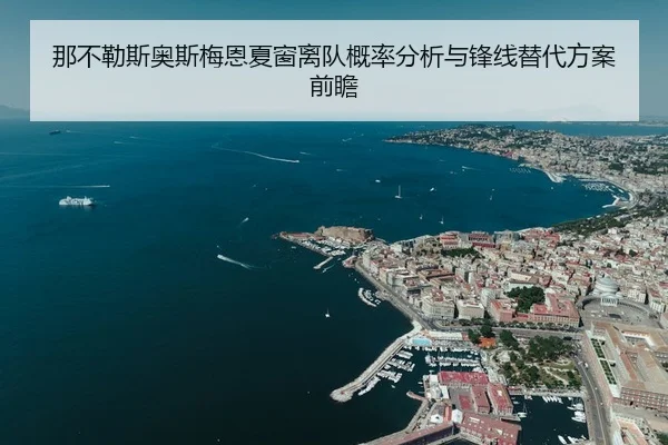 那不勒斯奥斯梅恩夏窗离队概率分析与锋线替代方案前瞻 | leyu