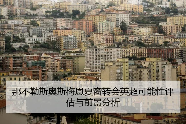 那不勒斯奥斯梅恩夏窗转会英超可能性评估与前景分析 | leyu
