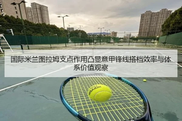 国际米兰图拉姆支点作用凸显意甲锋线搭档效率与体系价值观察 | leyu