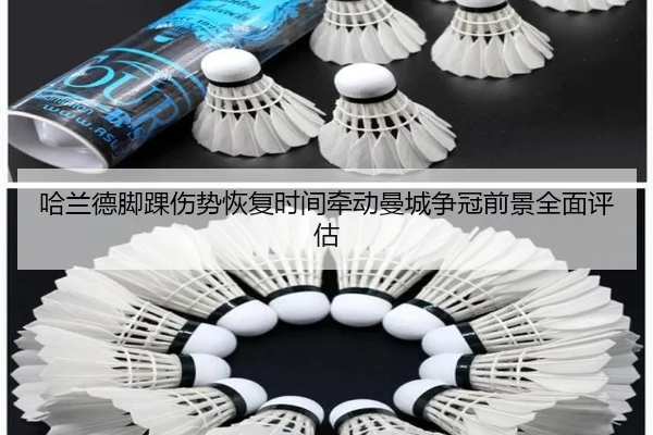 哈兰德脚踝伤势恢复时间牵动曼城争冠前景全面评估 | leyu